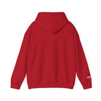 Racing Bear Hoodie